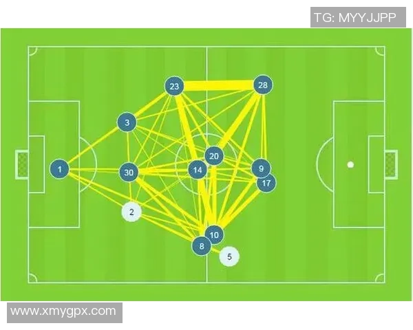 成都排球队配合表现的数据分析与战术优化研究