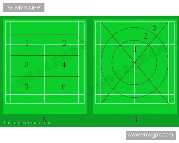 深圳羽毛球队防守战术深度分析与实战应用探讨