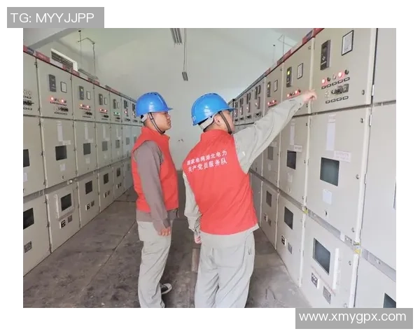 武汉攀岩队个人能力分析与提升策略探讨