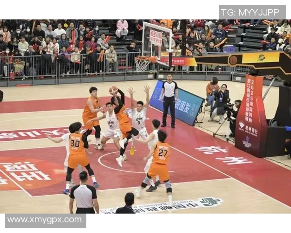 杭州篮球队的崛起之路与挑战探索全景报道