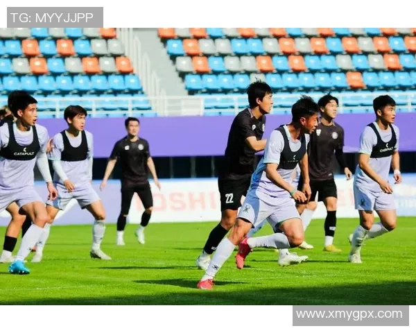 杭州足球队近期表现对比分析及未来发展趋势探讨